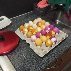 Eier Färben April 2025
